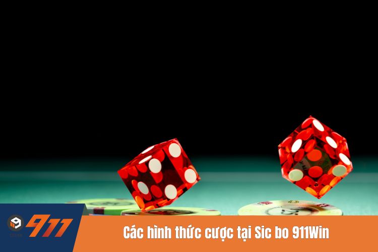 Các hình thức cược tại Sic bo 911Win