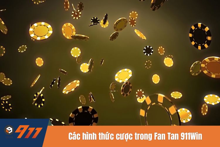 Các hình thức cược trong Fan Tan 911Win