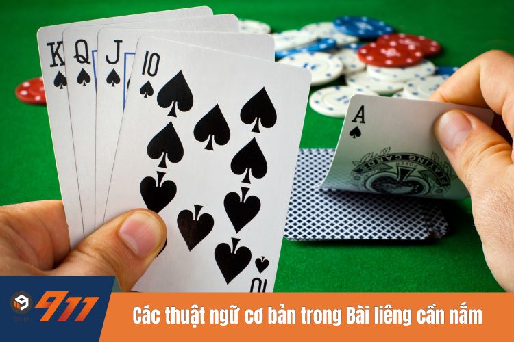 Các thuật ngữ cơ bản trong Bài liêng cần nắm