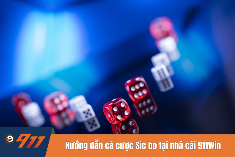 Hướng dẫn cá cược Sic bo tại nhà cái 911Win