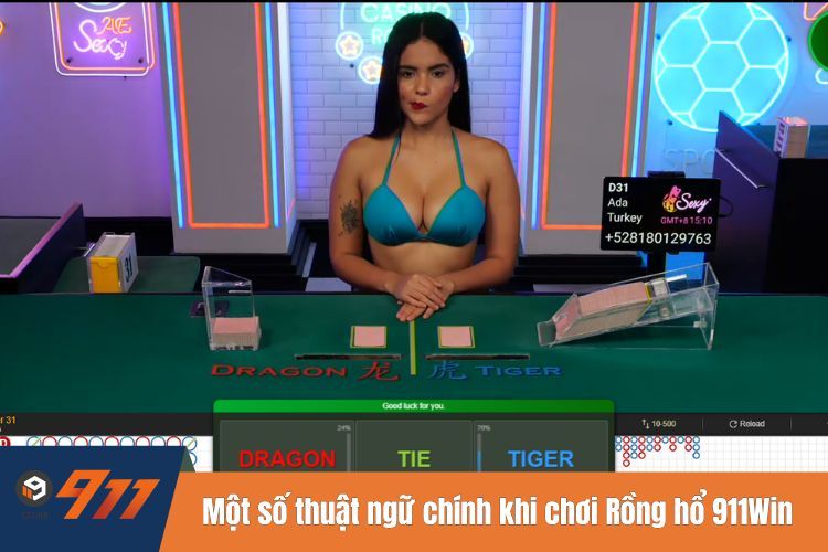 Một số thuật ngữ chính khi chơi Rồng hổ 911WIN