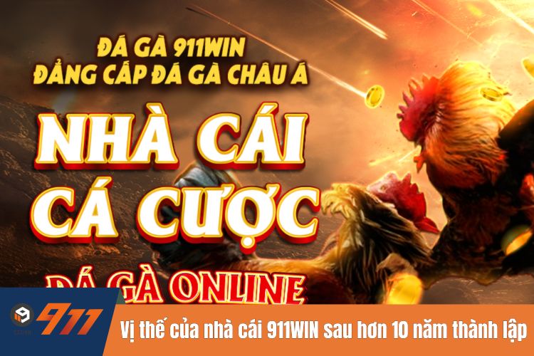 Vị thế của nhà cái 911WIN sau hơn 10 năm thành lập